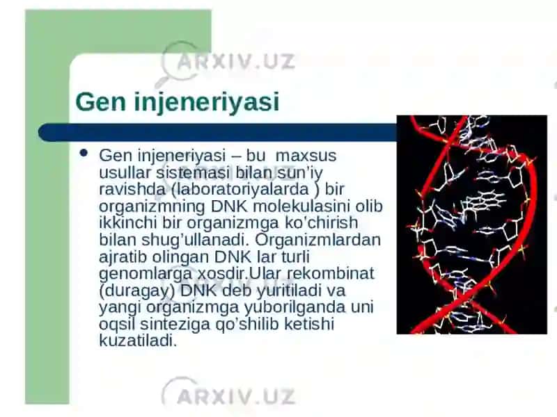 O‘simlik hujayrasi 3