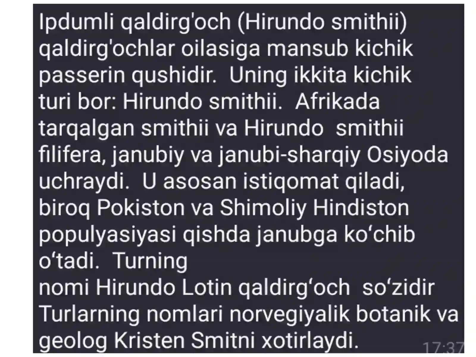 Ipdumqaldirg'och--(HirundosmithiLeach) 3