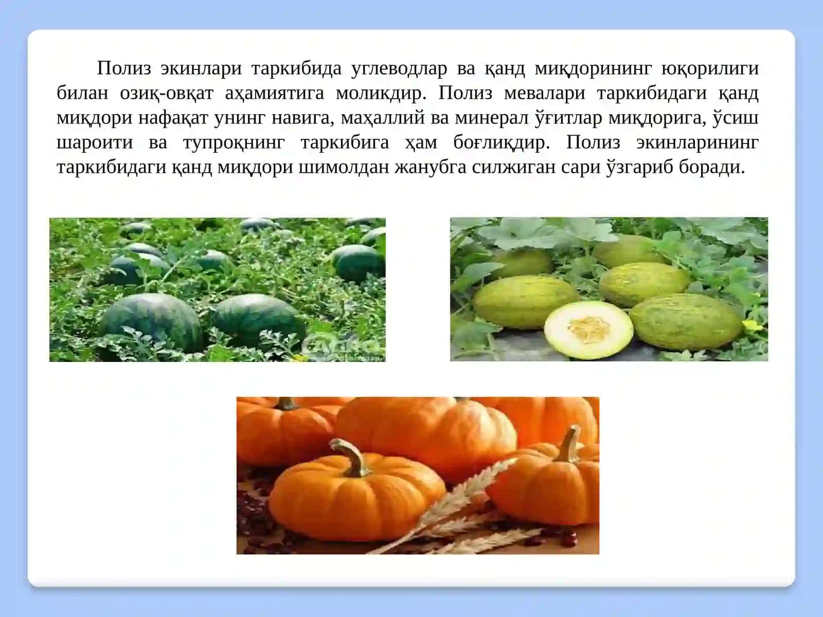 ПОЛИЗ ВА СУБТРОПИК ЭКИНЛАРНИ ЎҒИТЛАШ 3
