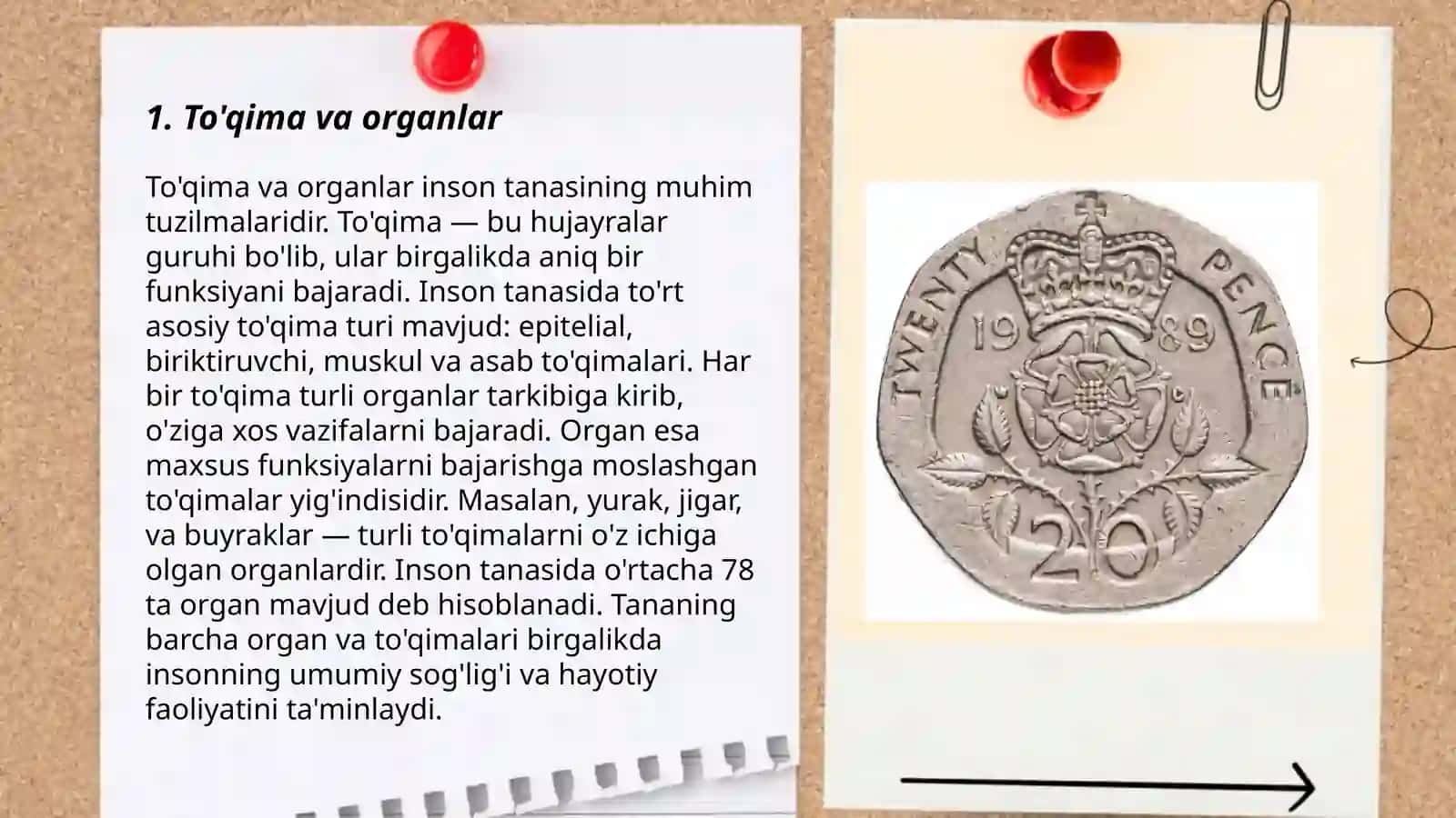 Yunon-lotin dubletlari va yakka atama elementlar 3
