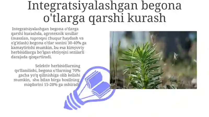 Integratsiyalashgan begona o'tlarga qarshi kurash 3