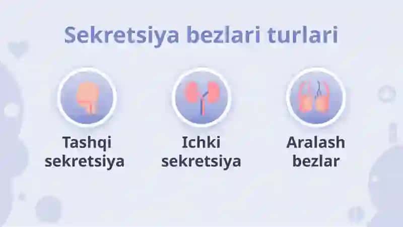 SEKRETSIYABEZLARI 3