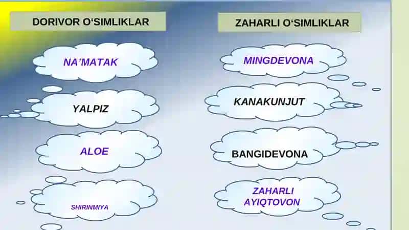 BIOLOGIYA 5-sinf MUSTAHKAMLASH 3