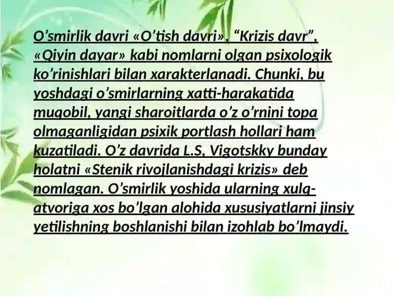 Oʻsmirlik davri psixologiyasi .Taqdimot 3