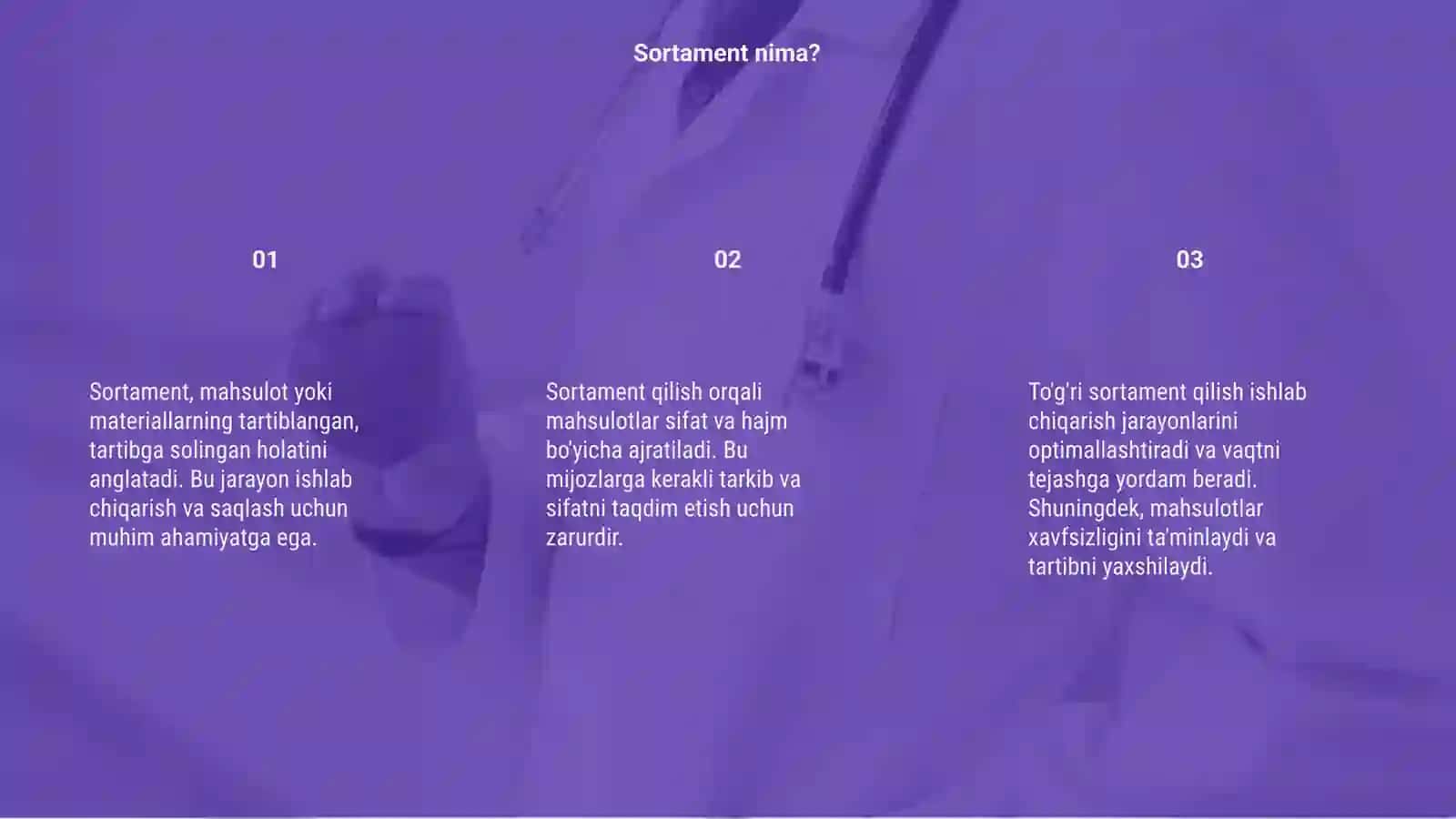 Sortament 3