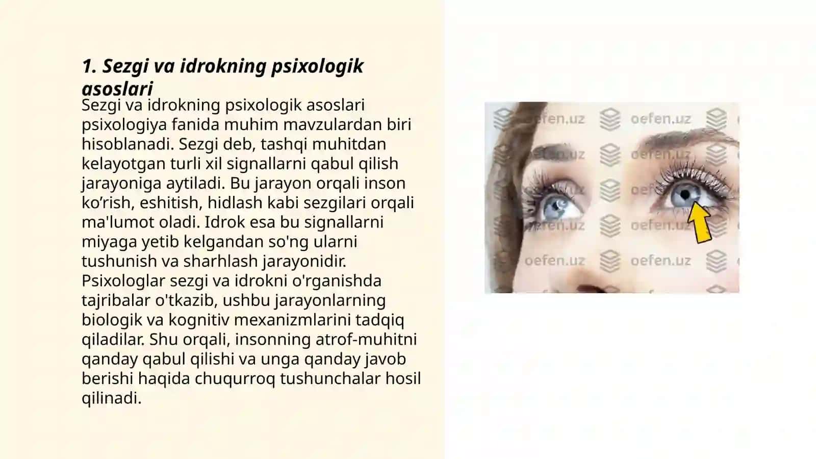 Sezgi va idrokning psixologik asoslari 3