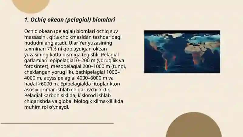 Dunyo okeani biomlari 3
