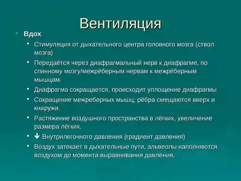 Респираторная поддержка 3