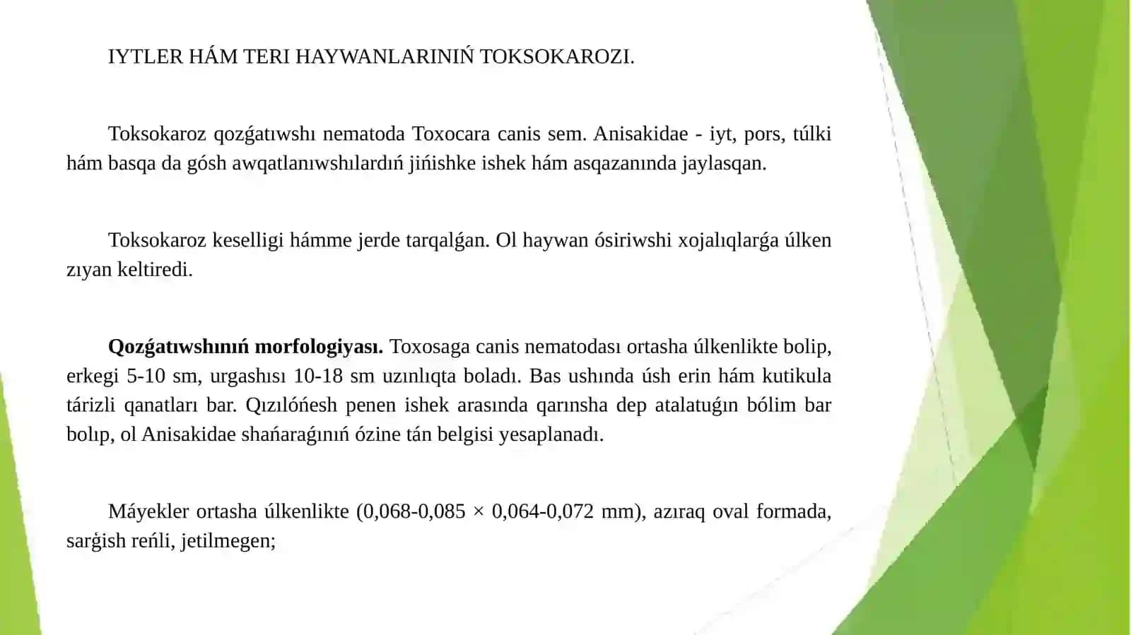 Goshxor haywanlar askaridatozlari 3