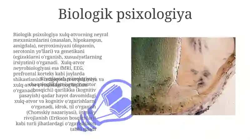 Psixologiyaning yo'nalishlari 3