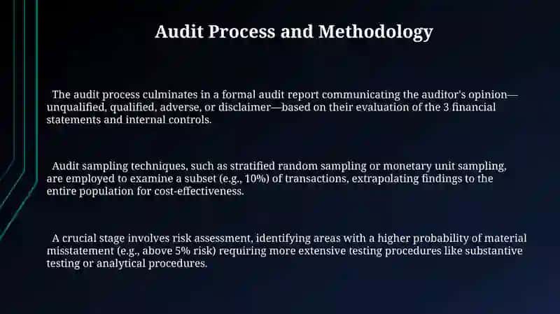 Audit Process and Methodology 3