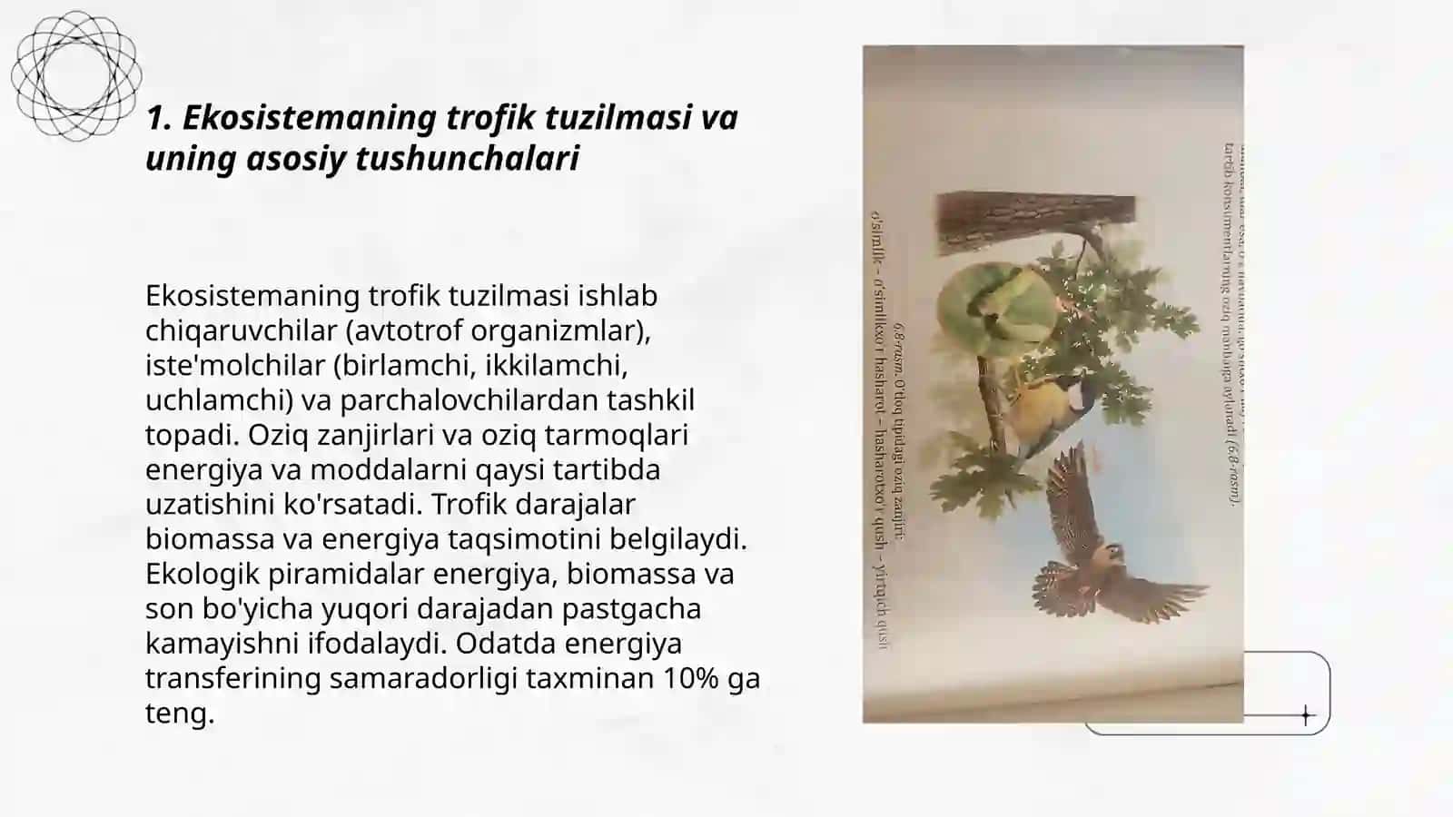 Ekosistemaning trofik strukturasi 3