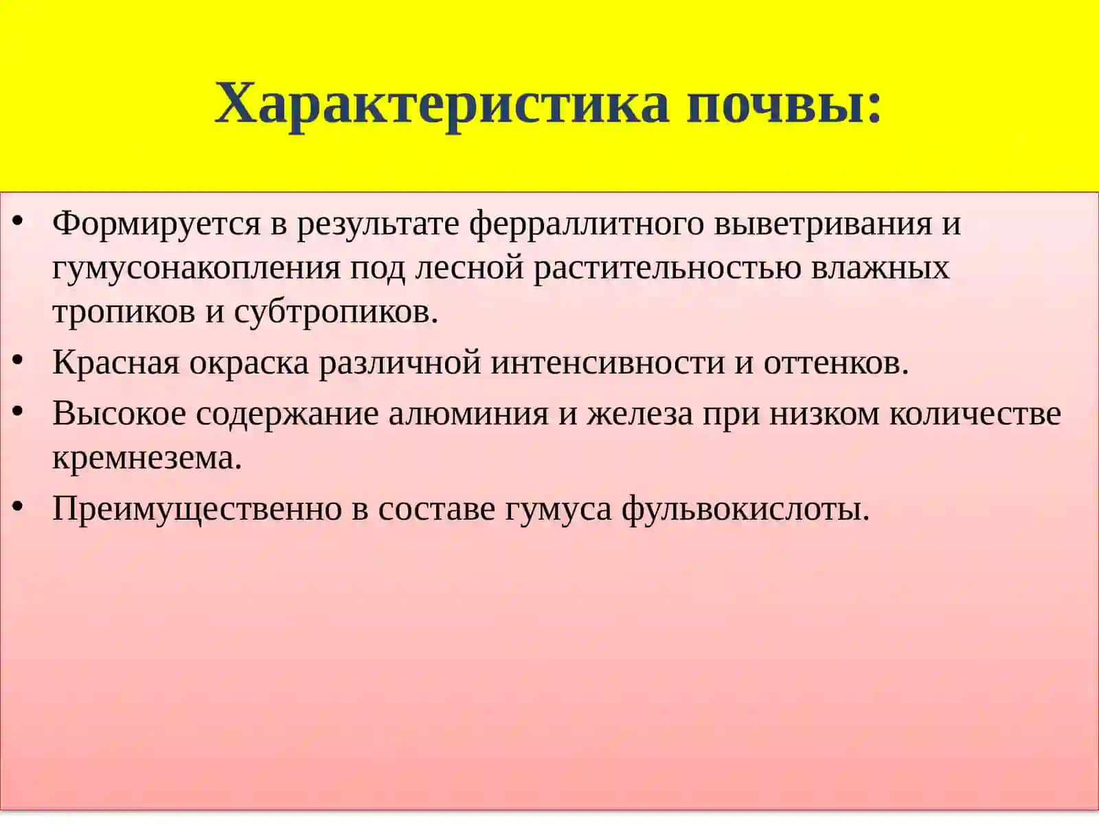 Почвы влажных субтропиков 3