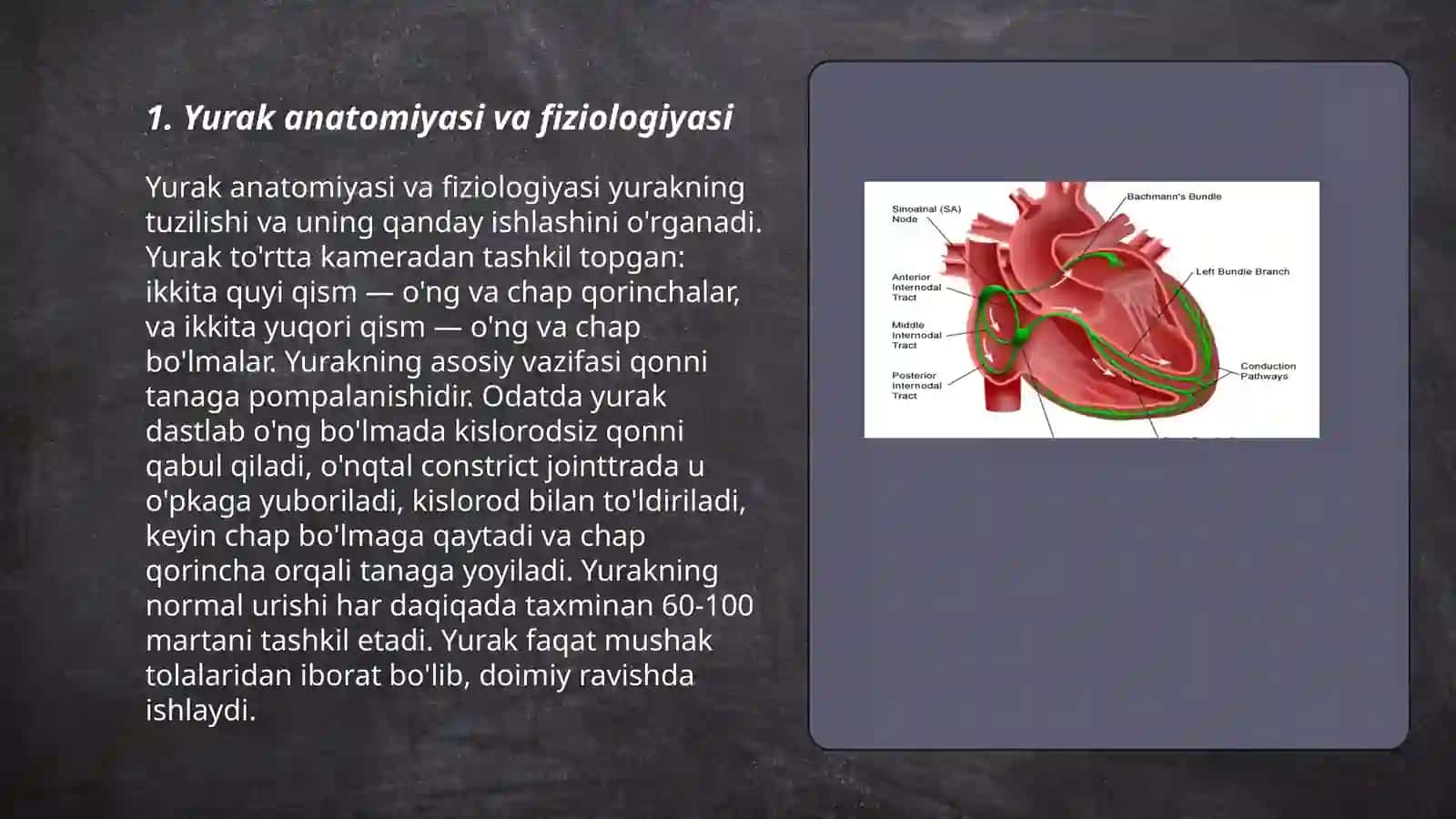 Yurak faoliyatining boshqarilishi 3