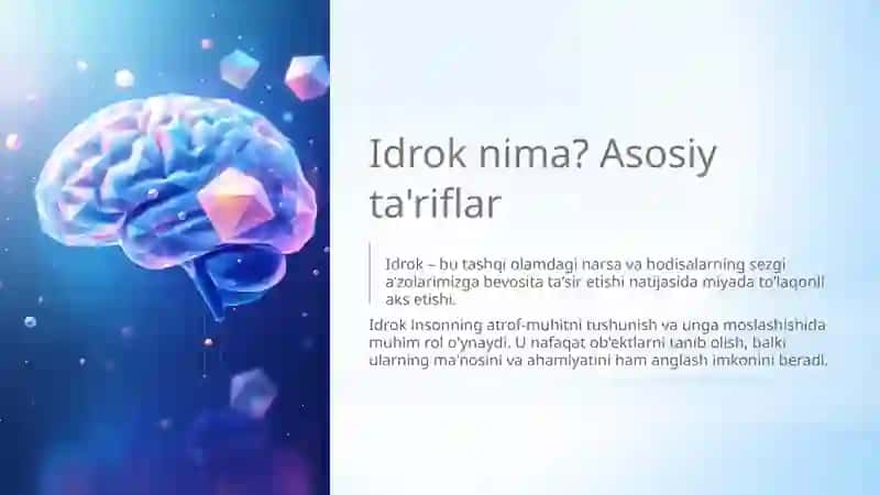 Idrok haqida tushuncha 3