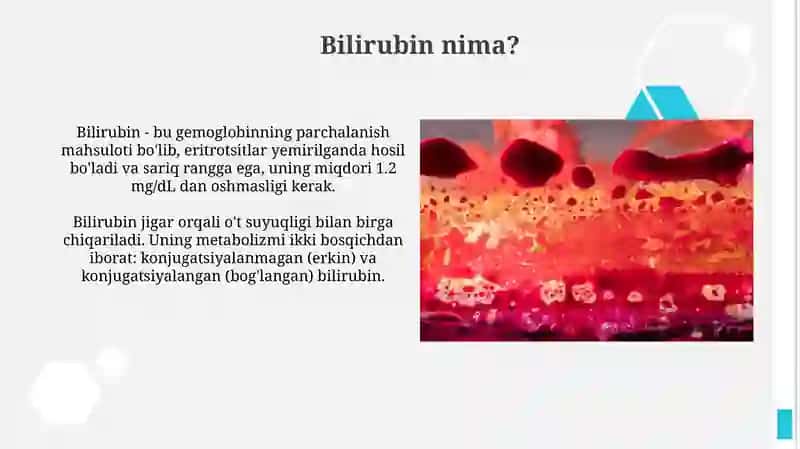 Bilirubin metabolizmi 3