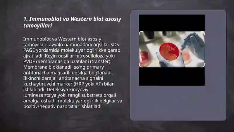 Immunoblot tekshirish usullari 3