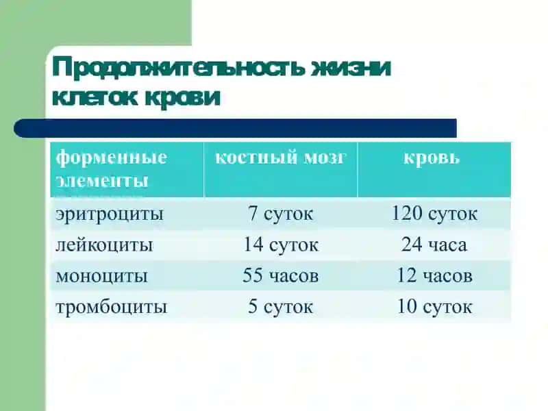 Патофизиология крови 3