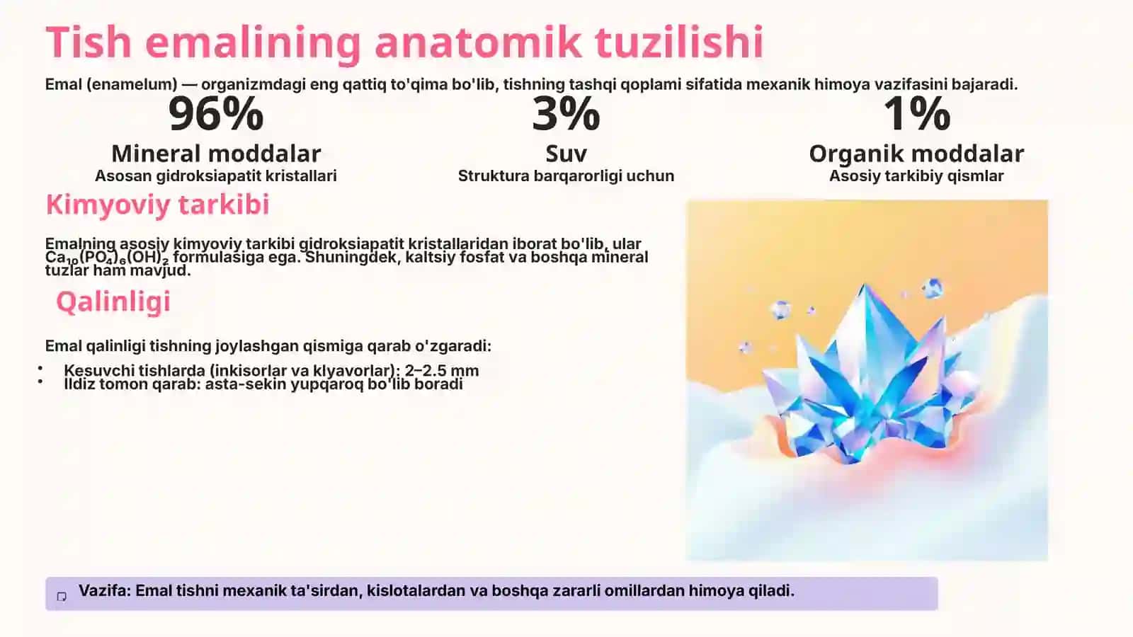 Tishlarning anatomiyasi va gistologiyasi 3