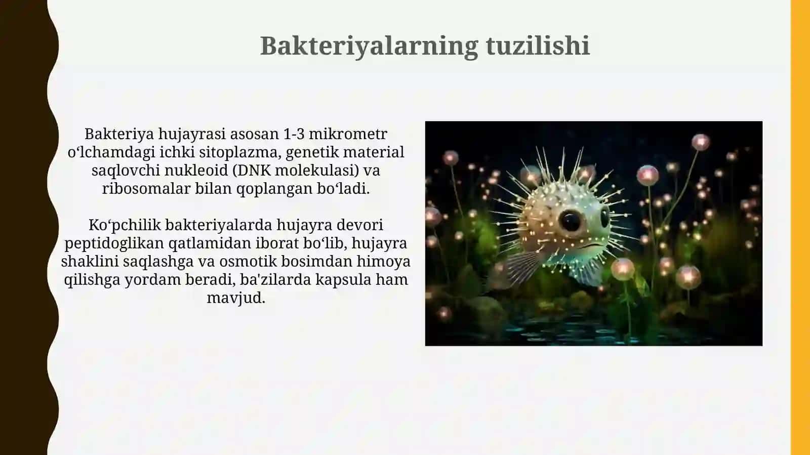 Ko'rinmas olam - Bakteriyalar 3