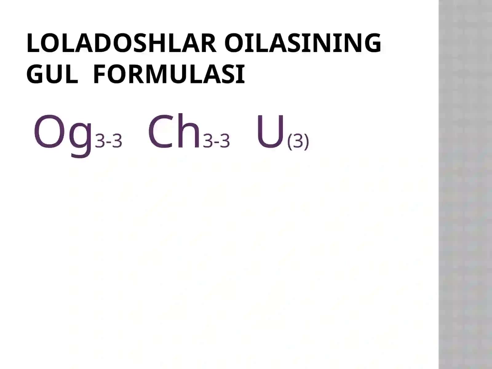 Loladoshlar oilasi 3