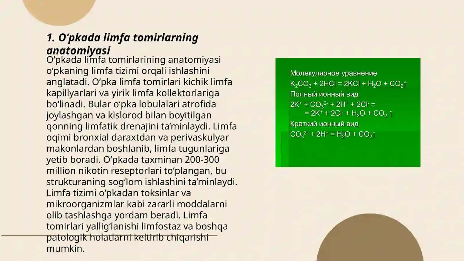 Oʻpkaning limfa tomiri,qon tomir va nervi 3