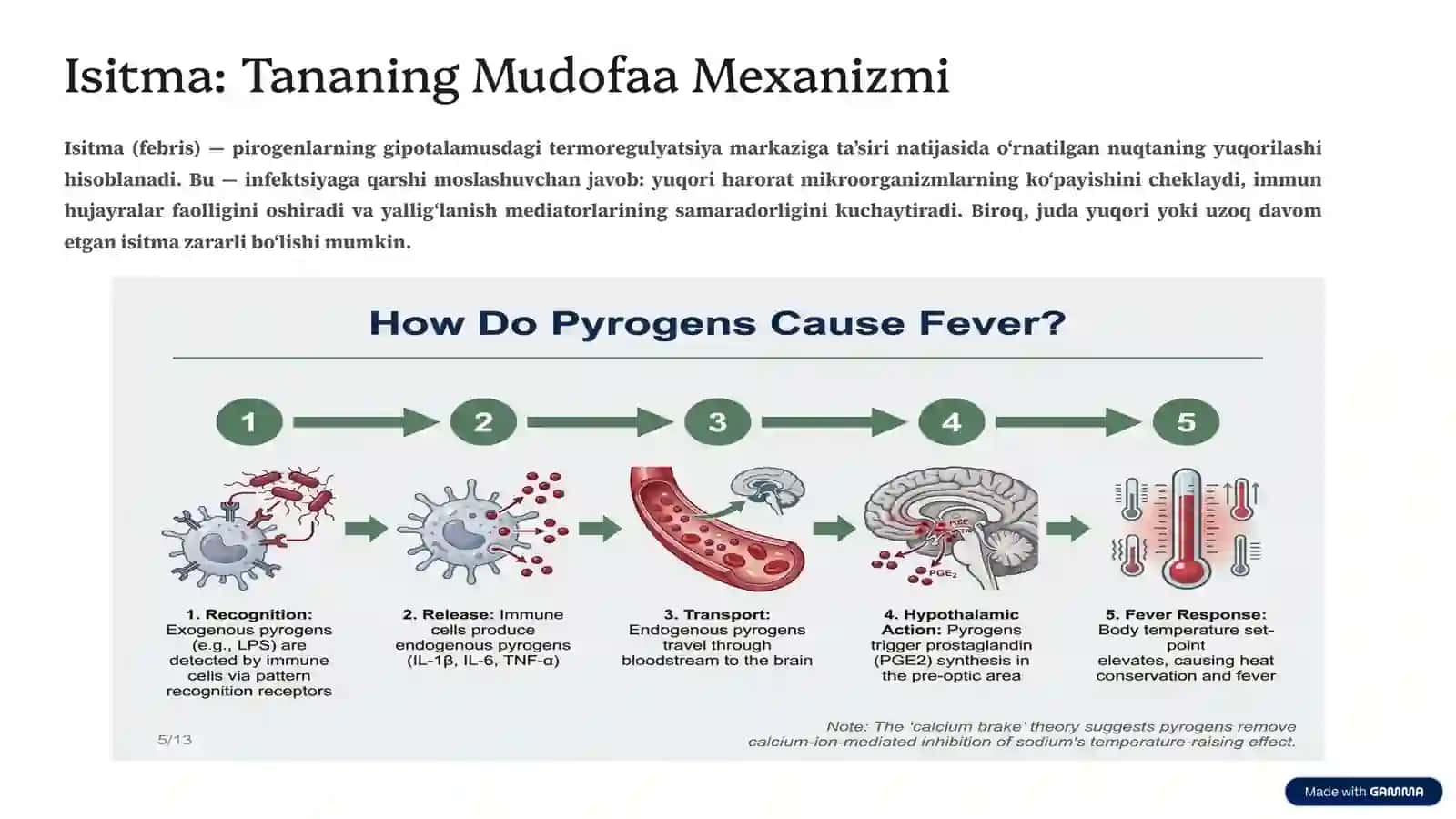Pirogen Moddalar: Organizmdagi Issiqlik Jangchilari 3