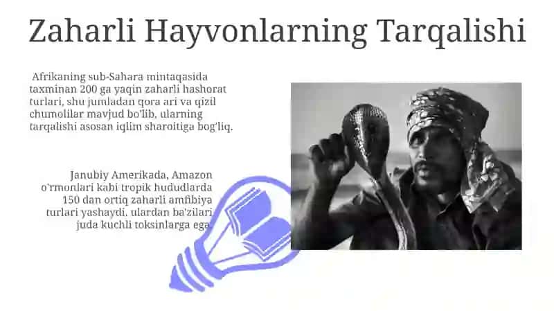 Zaharli Hayvonlar 3
