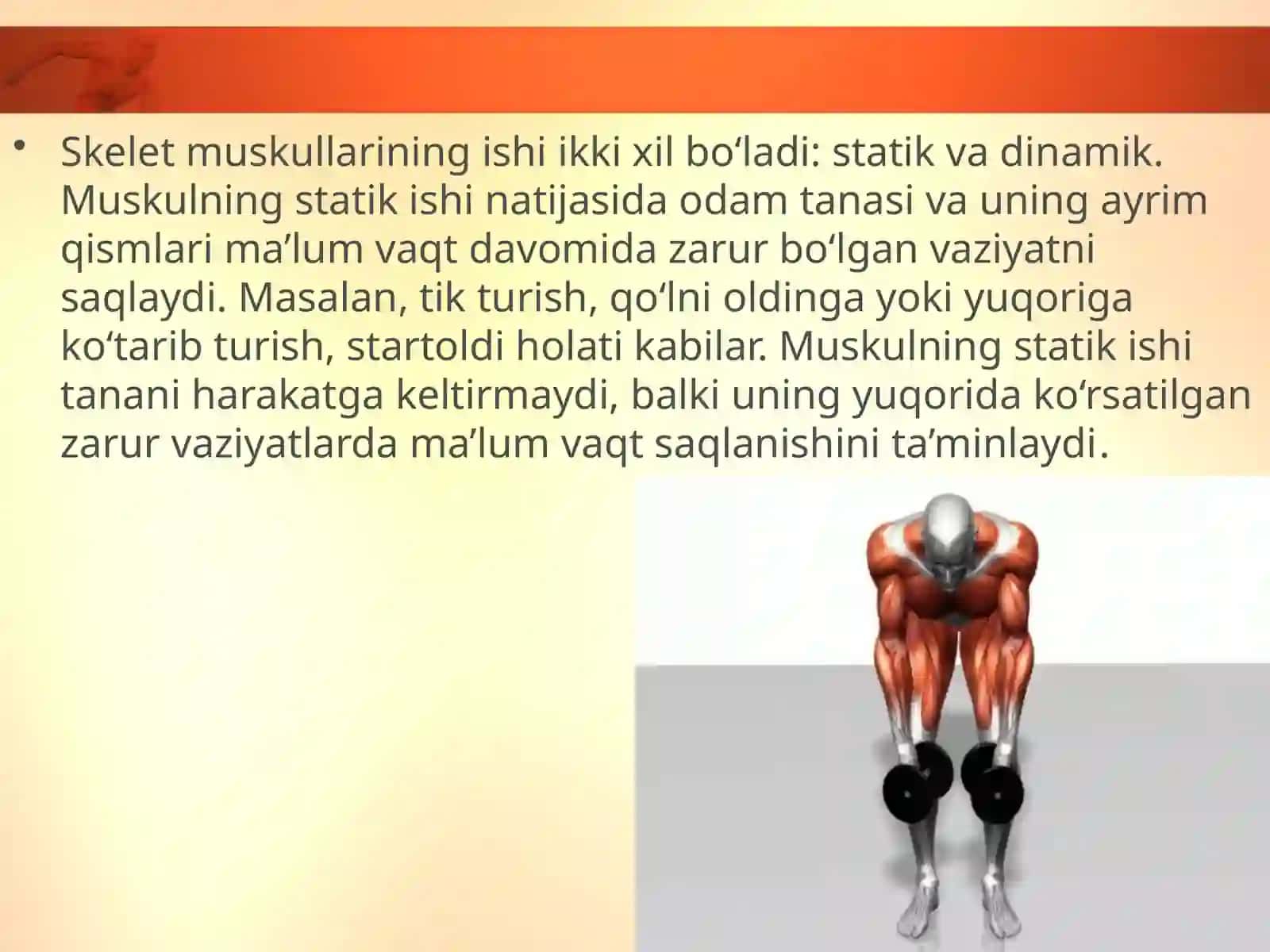 Muskullarning ishlashi 3