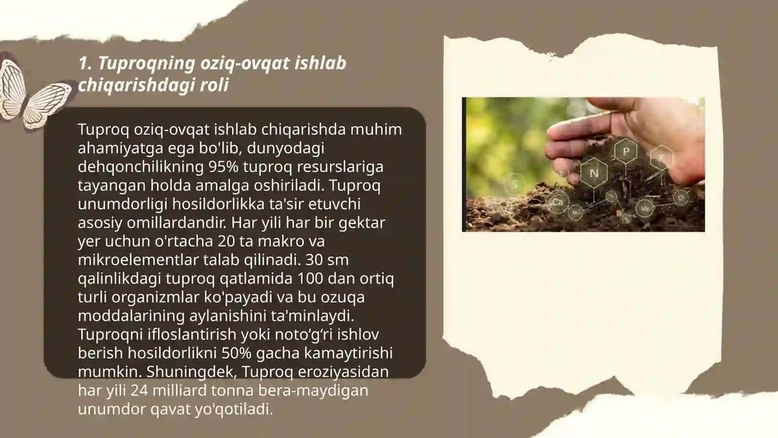 Tuproqning inson hayotidagi roli 3