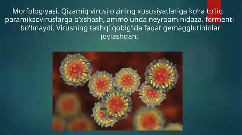 Morbillo viruslar klassifikatsiyasi patagenezi laboratoriya tashxisi 3