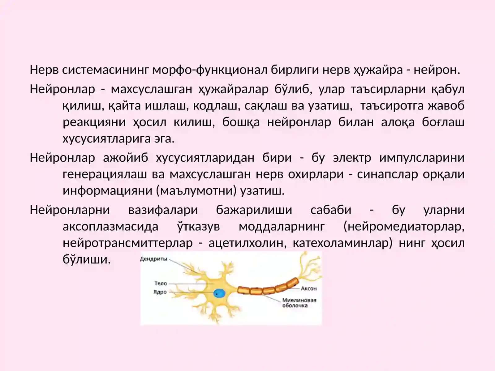 Асабтолаларининг ва синапсларнинг физиологияси 3