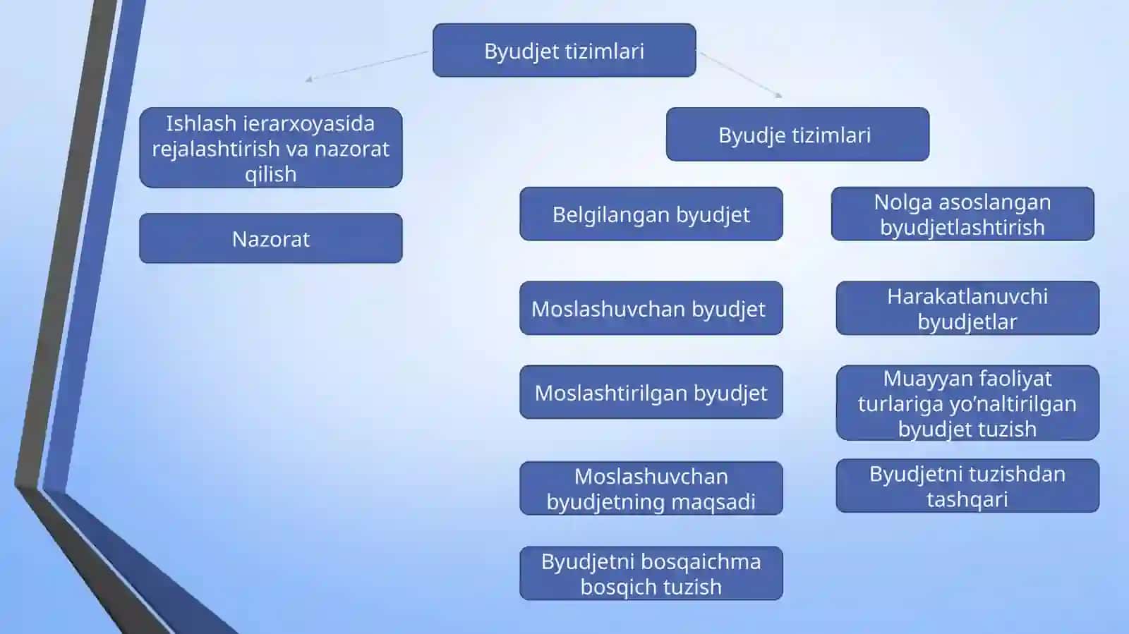 Budjet turlari va tizimlari 3