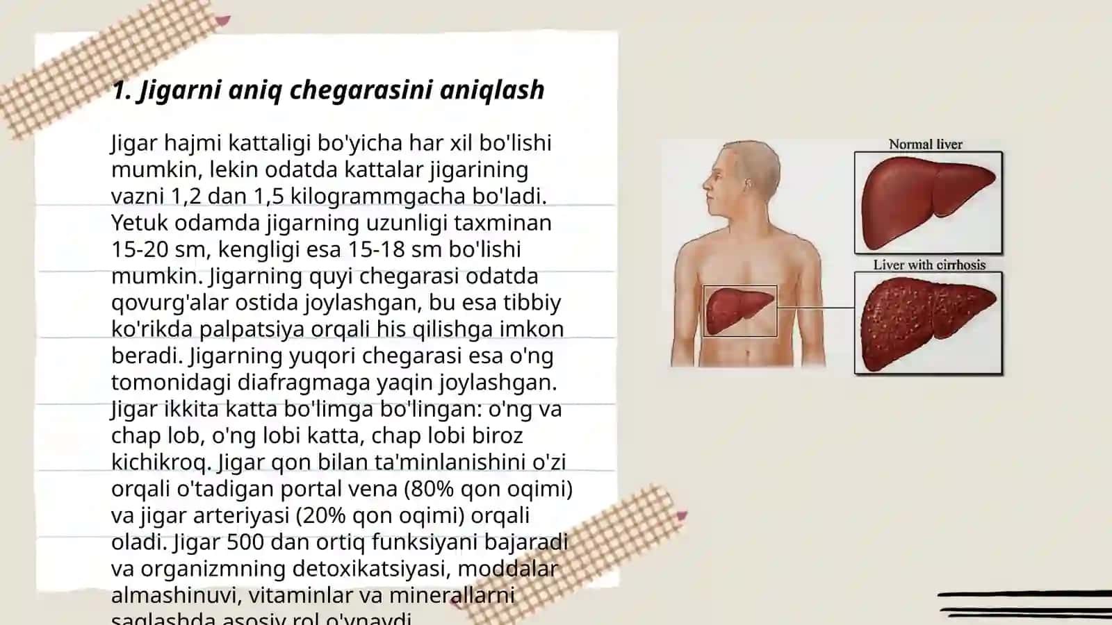 Jigarni aniq chegarasini aniqlash 3