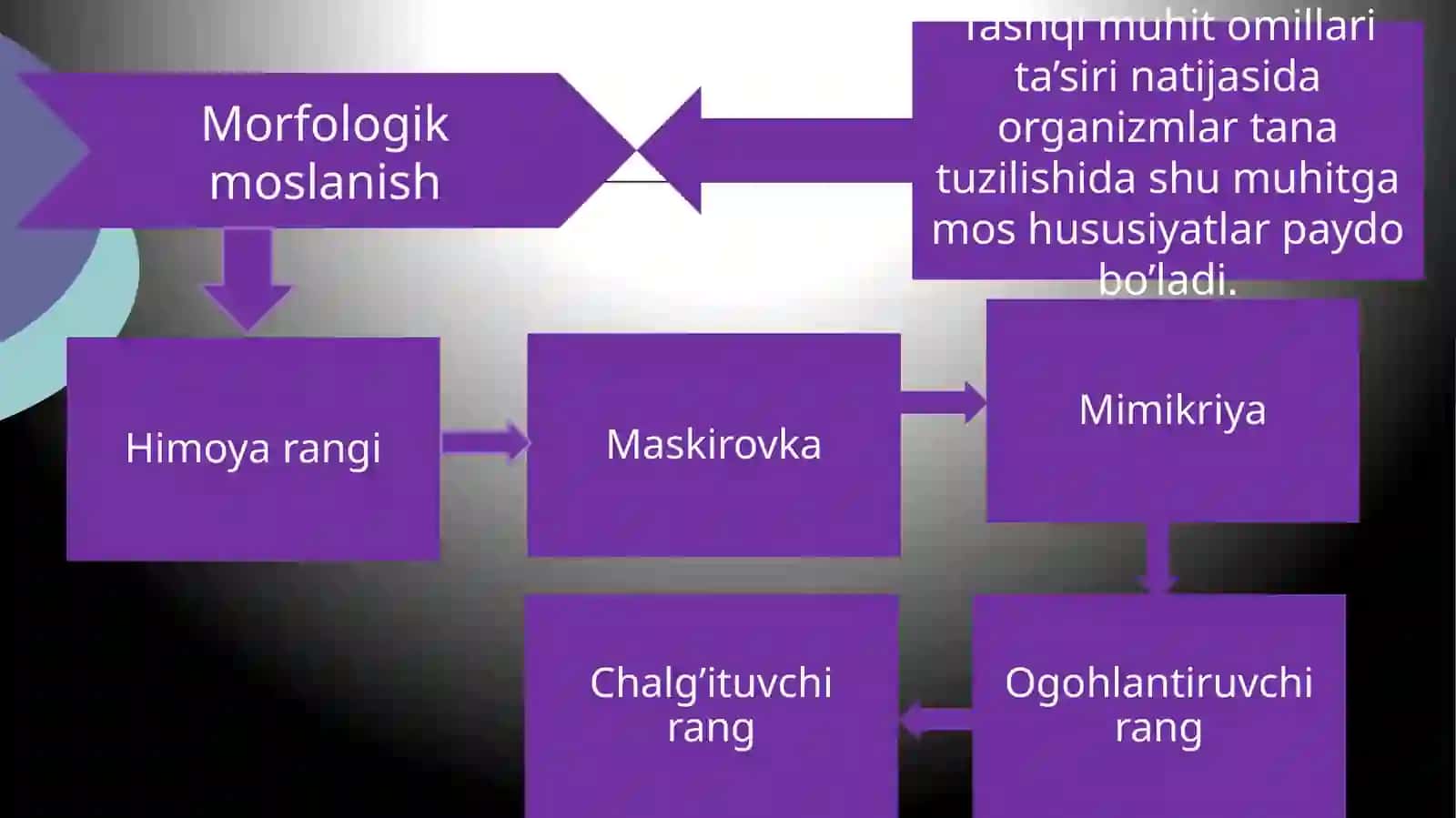 Organikolamdagimoslanishlar–evolyutsiyanatijasi 3