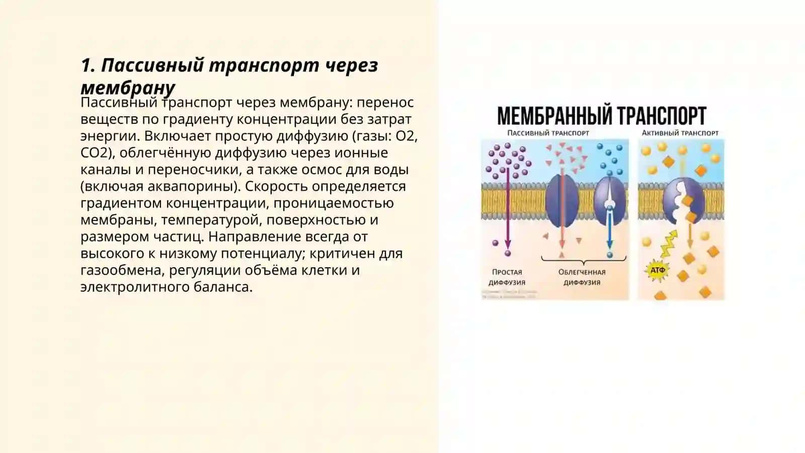 Транспорт веществ через мембрану 3