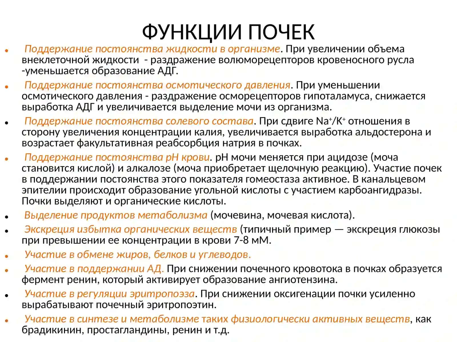 Физиология выделительной системы 3