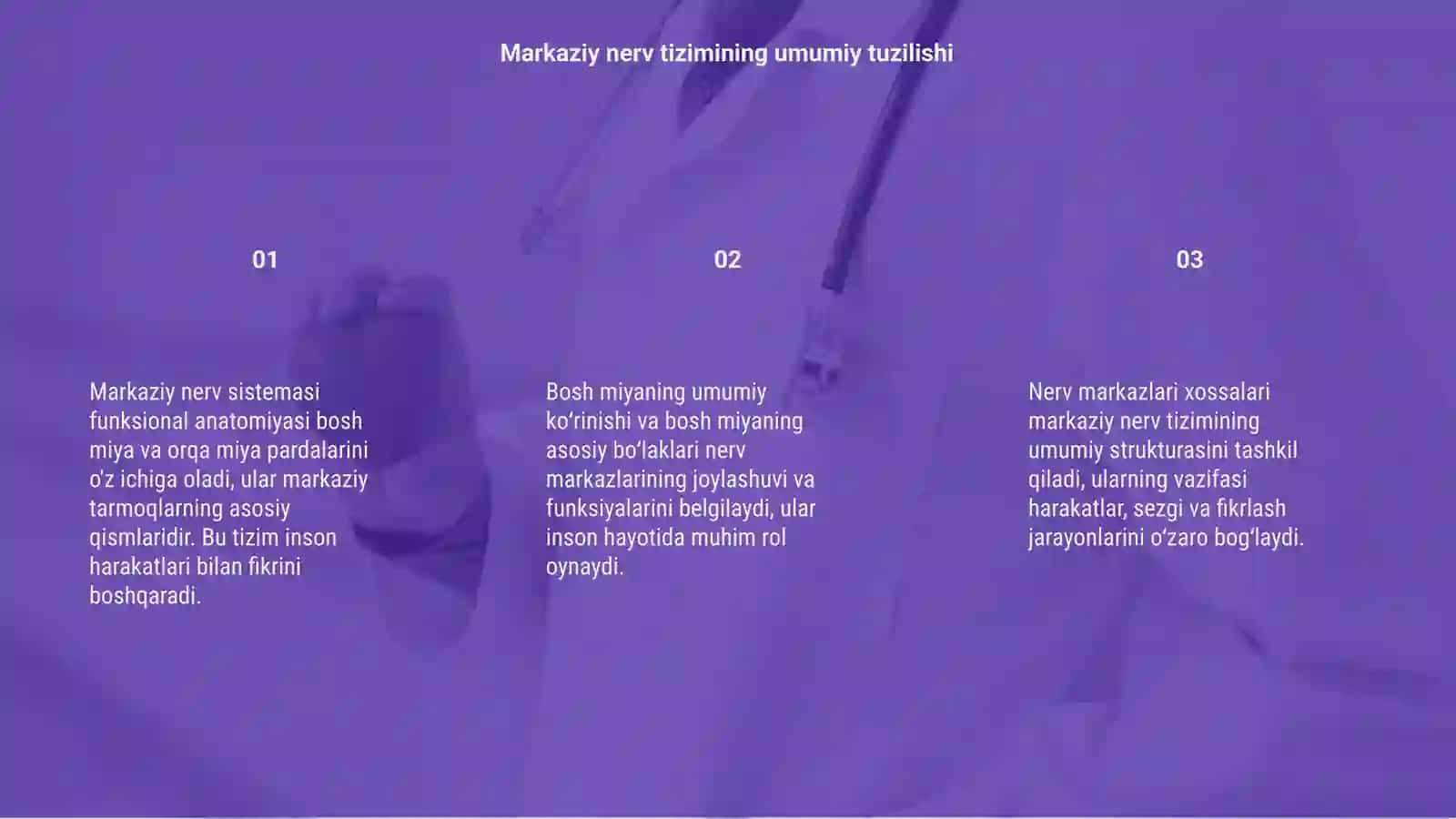 Markaziy nerv sistemasi funksional anatomiyasi 3