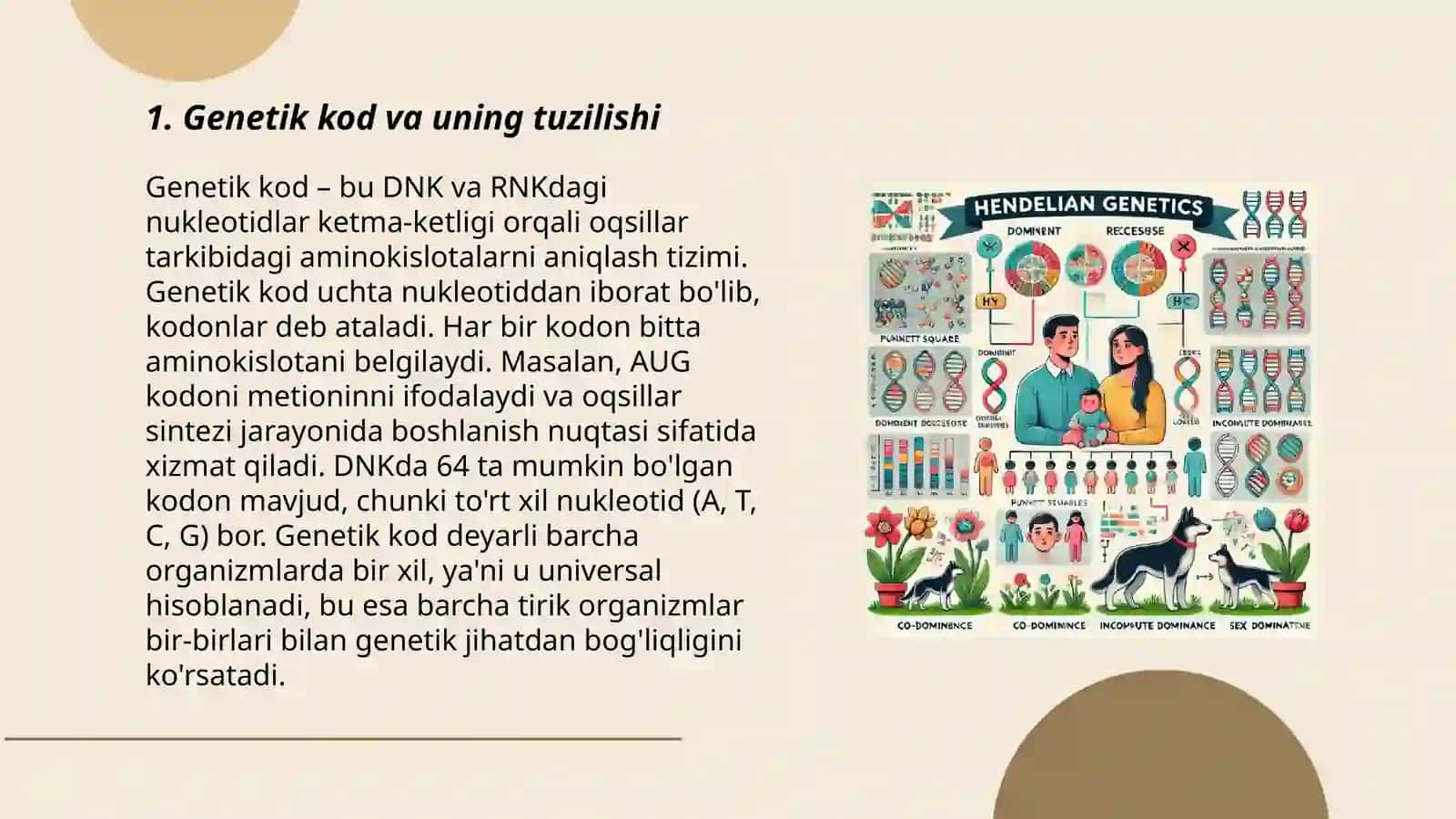 Genetik kod va uning tuzilishi 3