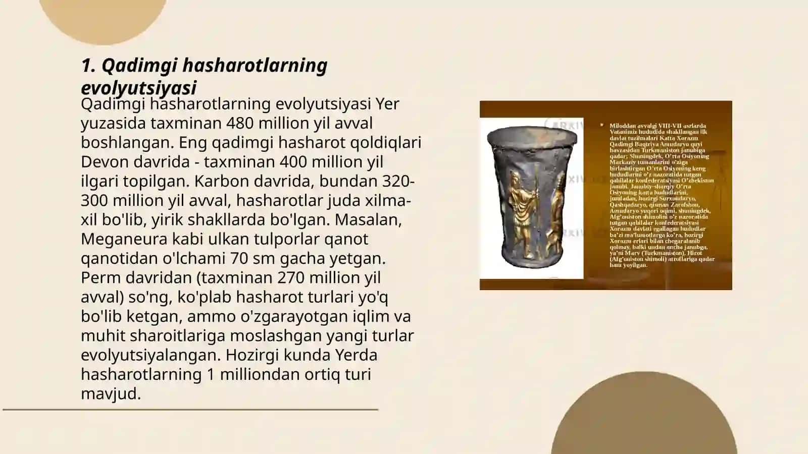 Qadimgi qanotli hasharotlar 3