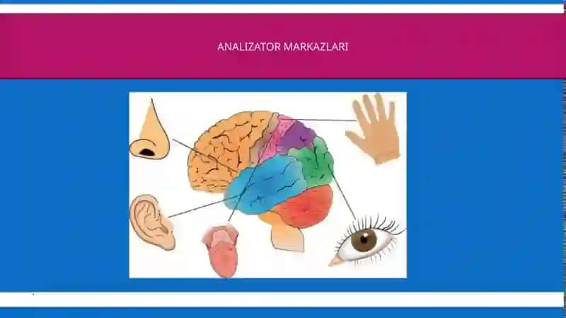 Koʻrishanalizatorlar 3