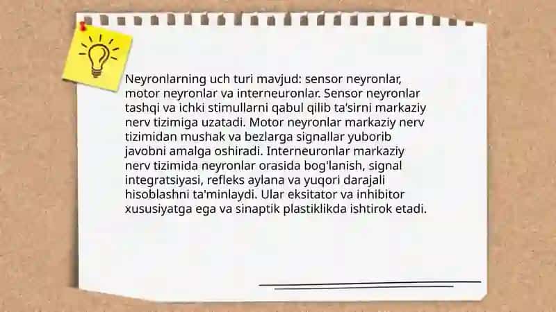Neyrologiya hujayralarining xillari va funksiyalari 3