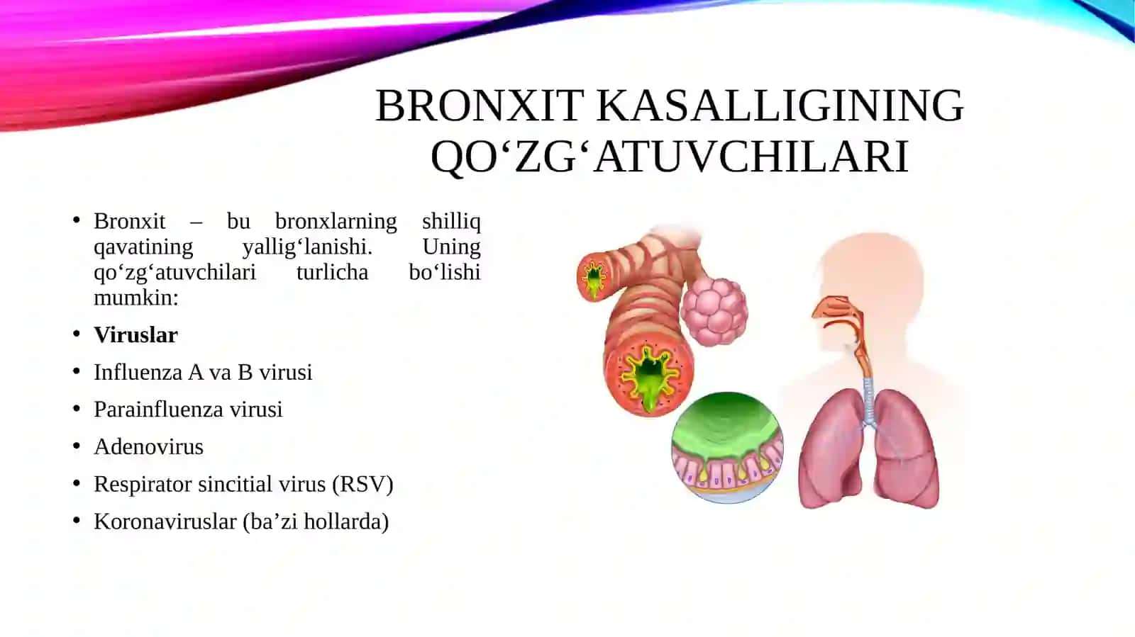 Bronxit kasalligining qo'zg'atuvchilari patogenez va laboratoriya tashhisi. Gemofil bakteriyalarni inflyuensa tayoqchasi yumshoq shankr qo'zg'atuvchisi) amaliyotidagi ahamiyati tashhisi. 3