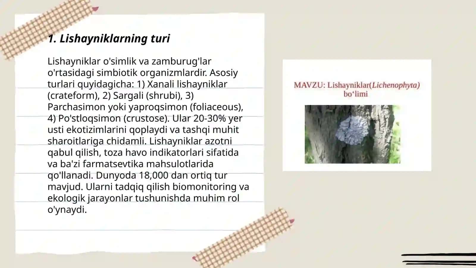 Lishayniklar 3