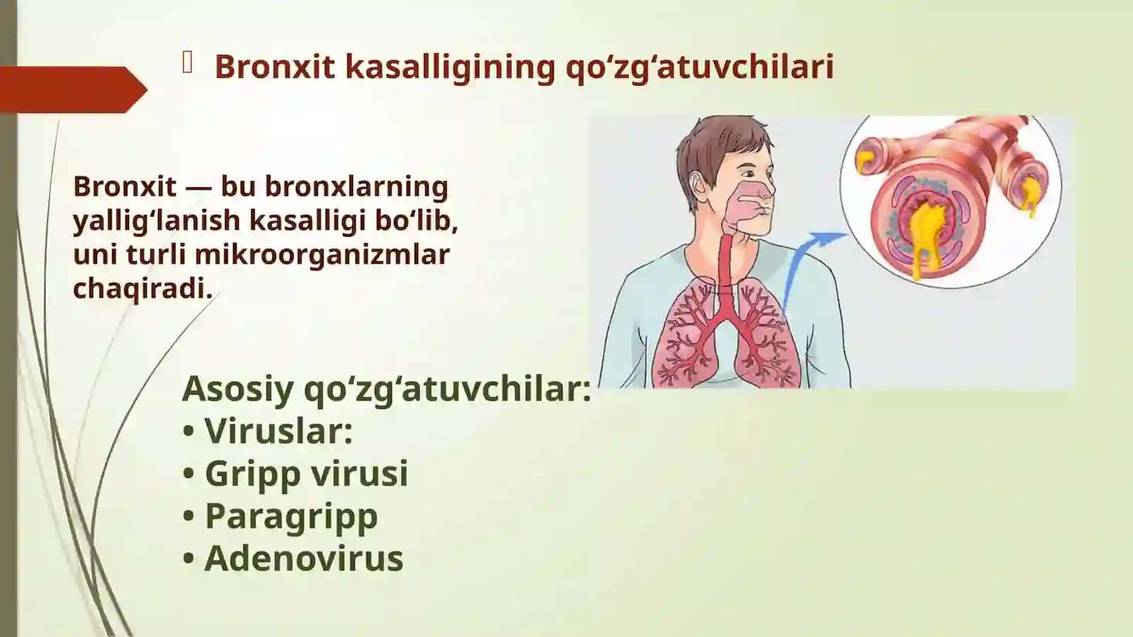 Ablaizova Hafiza 3