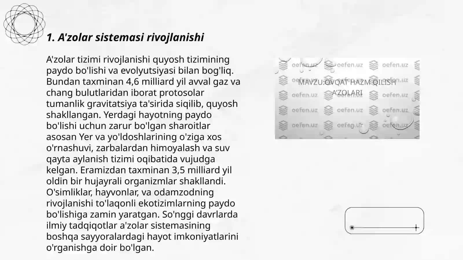 A'zolar sistemasi ontofilogenezi 3