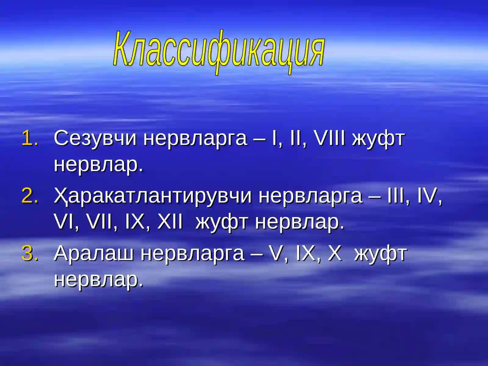 Бош мия нервлари 3