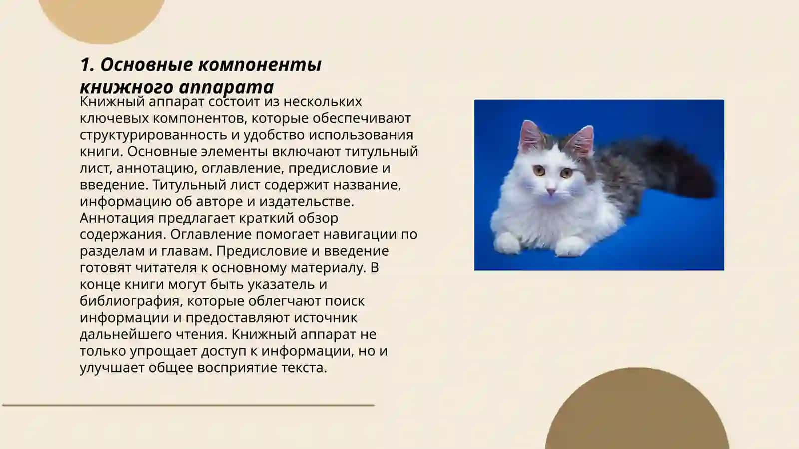 Работа с книжным аппаратом 3