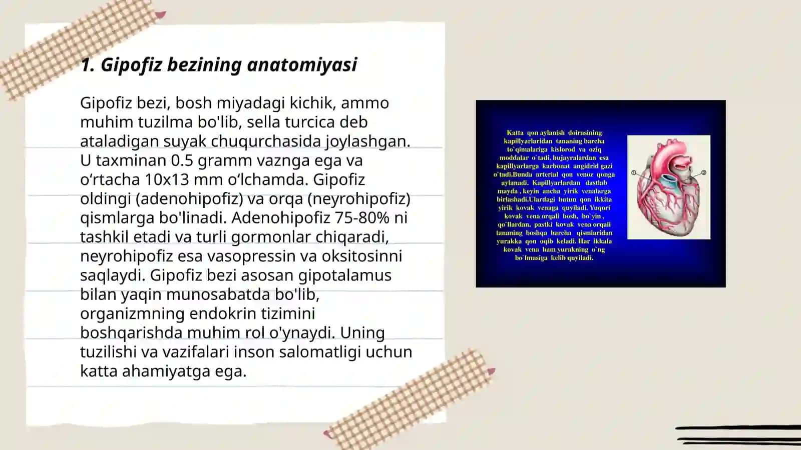 Gipofiz bezining garmonlari va yosh xususiyati 3