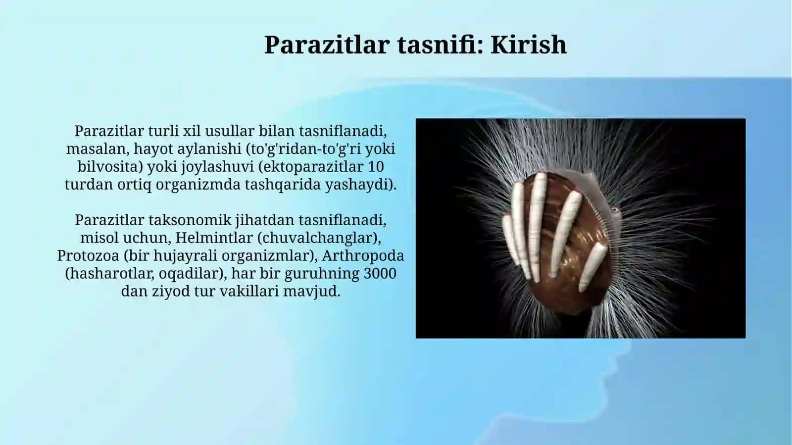 Parazitlar klassifikatsiyasi 3